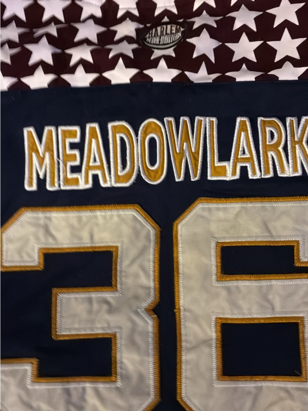 MEADOWLARK Navy, Gold & Cream Athletic Jersey Quilt